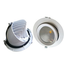 10W/15W/20W/30W/40W Adjustable COB LED Trunk Down Light